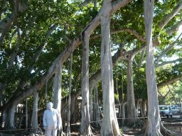 Florida_2007-2008-033